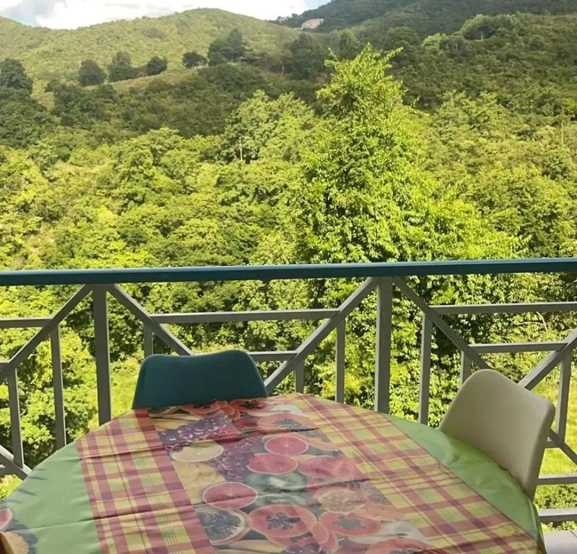 Appartement Confortable A Sainte-Luce Avec Piscine